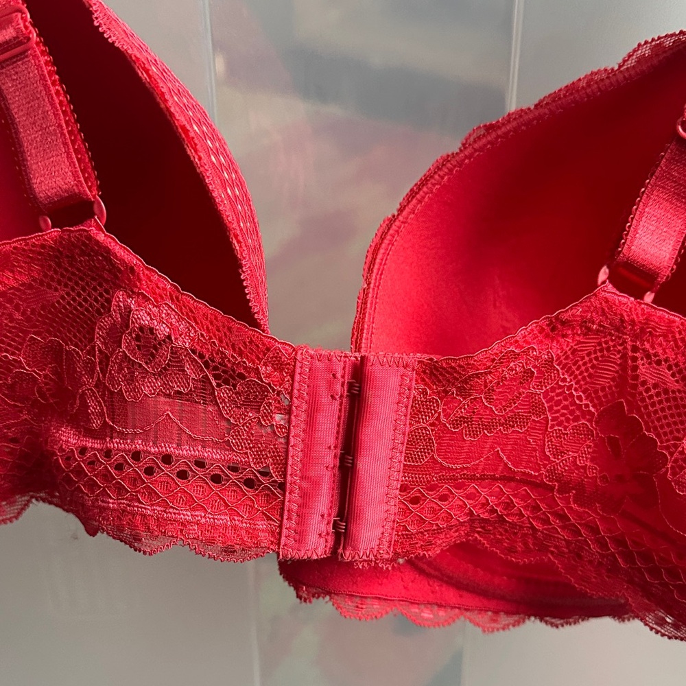 Paramour Scarlet Lace Bra - Picture 3 of 3